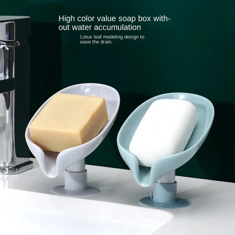 Abtropfende Seifenablage in Bl – Soap Making Box Bewertung und Preis
