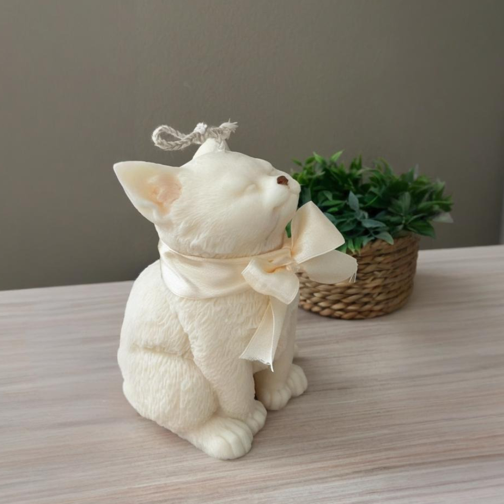 Lächeln Katze Silikonform für  – Soap Making Instructions Bewertung und Preis